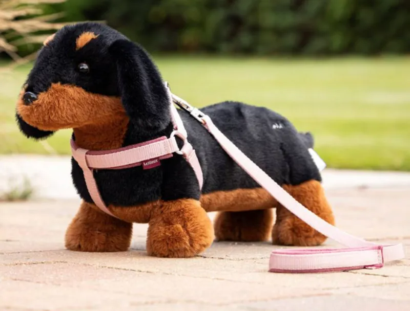 Harness toy best sale